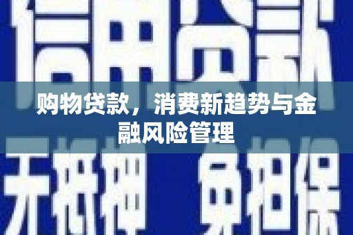 巴里坤购物贷款，消费新趋势与金融风险管理