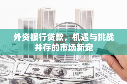 东方外资银行贷款，机遇与挑战并存的市场新宠