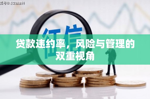 宣汉贷款违约率，风险与管理的双重视角