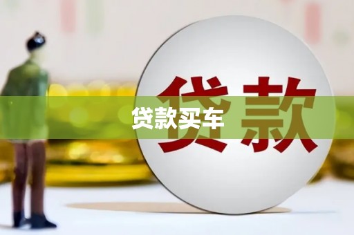 小金贷款买车