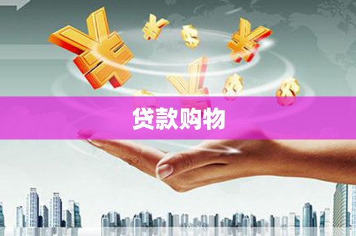 六枝贷款购物