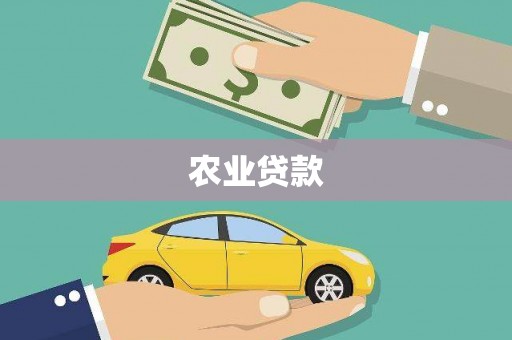 萨嘎农业贷款