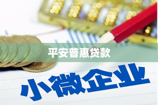 顺河平安普惠贷款