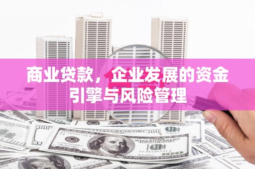 嵩县商业贷款，企业发展的资金引擎与风险管理