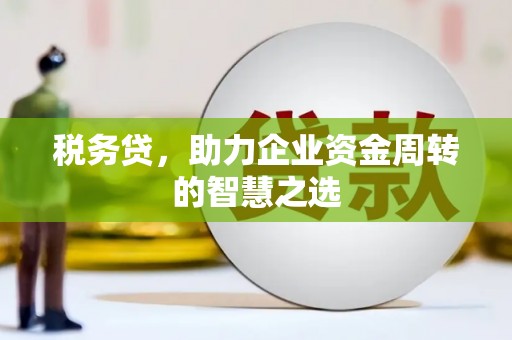 西螺税务贷，助力企业资金周转的智慧之选