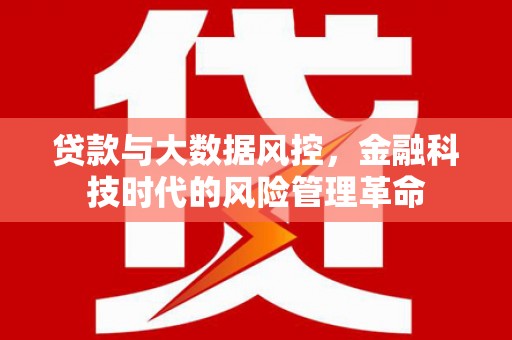花地玛堂区贷款与大数据风控，金融科技时代的风险管理革命
