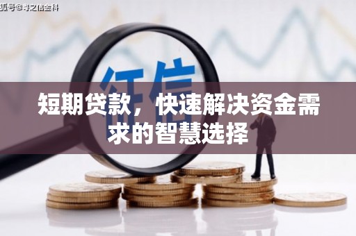 柳河短期贷款，快速解决资金需求的智慧选择