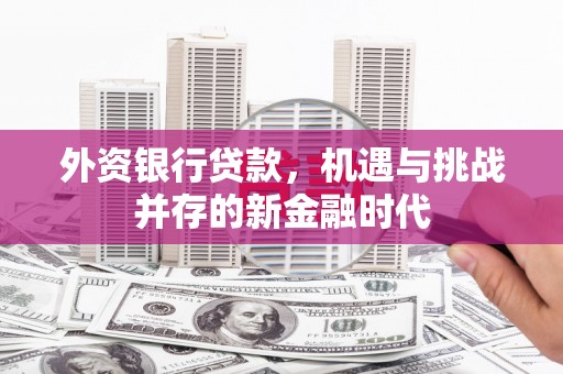 佛冈外资银行贷款，机遇与挑战并存的新金融时代