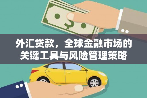 嘉禾外汇贷款，全球金融市场的关键工具与风险管理策略