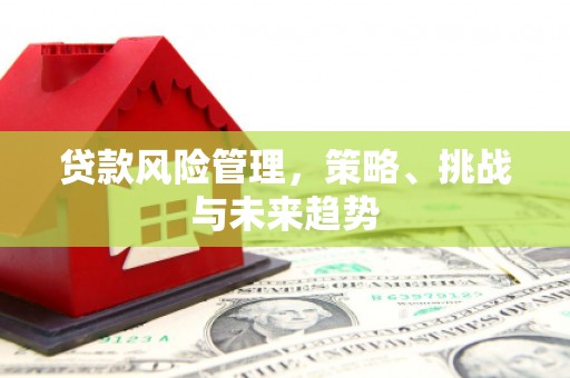 华龙贷款风险管理，策略、挑战与未来趋势