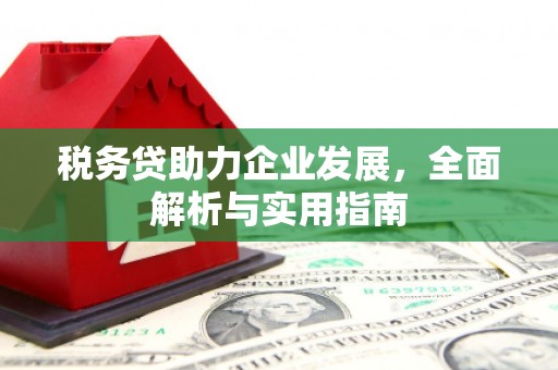 德清税务贷助力企业发展，全面解析与实用指南