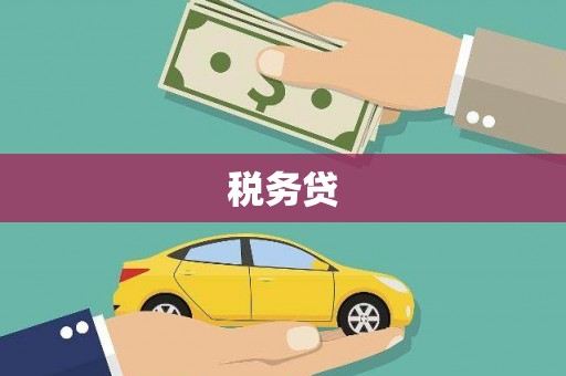 岱岳税务贷