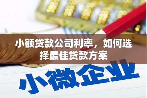 深坑小额贷款公司利率，如何选择最佳贷款方案