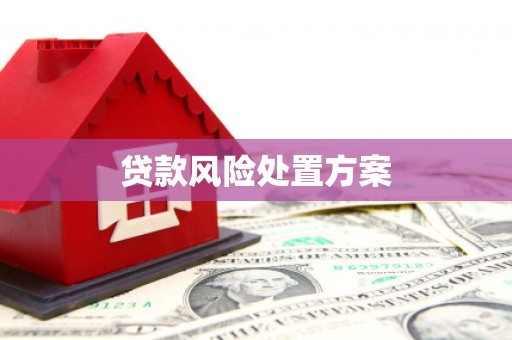 岳塘贷款风险处置方案