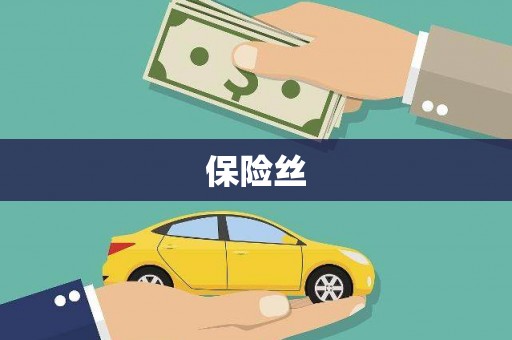 小金保险丝