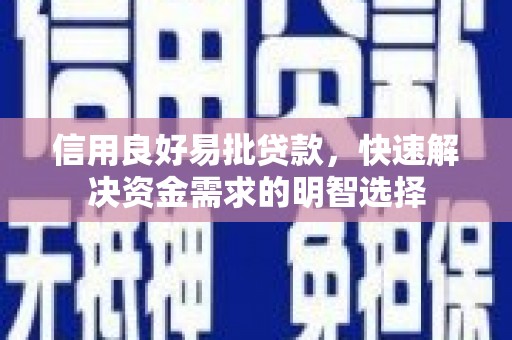 金阳信用良好易批贷款，快速解决资金需求的明智选择