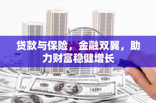 沙鹿贷款与保险，金融双翼，助力财富稳健增长