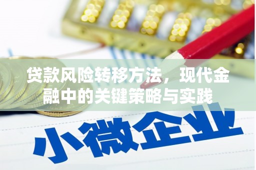 囊谦贷款风险转移方法，现代金融中的关键策略与实践