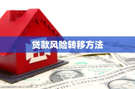 暖暖贷款风险转移方法 暖暖贷款风险转移方法