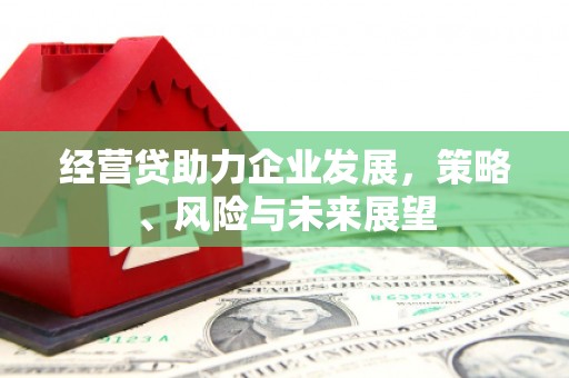 德清经营贷助力企业发展，策略、风险与未来展望