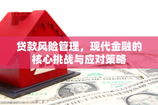 平舆贷款风险管理，现代金融的核心挑战与应对策略