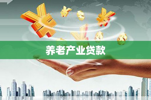 宁陵养老产业贷款
