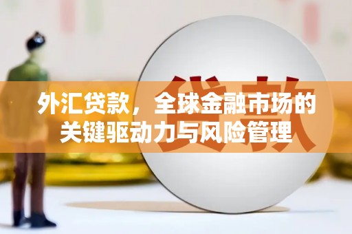 锡林郭勒外汇贷款，全球金融市场的关键驱动力与风险管理
