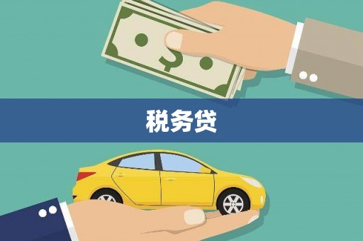 贞丰税务贷