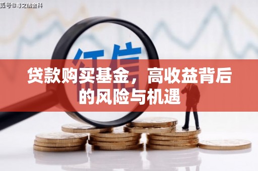 金昌贷款购买基金，高收益背后的风险与机遇