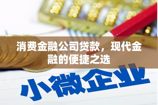 红安消费金融公司贷款，现代金融的便捷之选