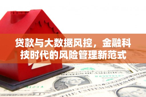 威海贷款与大数据风控，金融科技时代的风险管理新范式