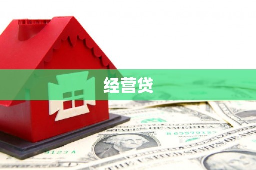 保税区经营贷
