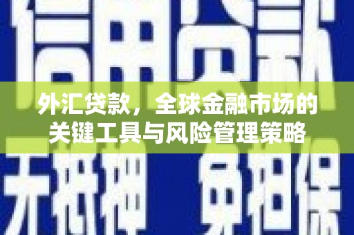 屏边外汇贷款，全球金融市场的关键工具与风险管理策略