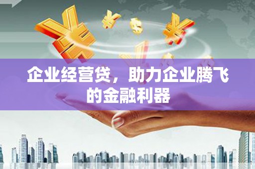 丰顺企业经营贷，助力企业腾飞的金融利器