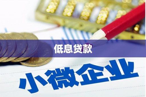 定兴低息贷款