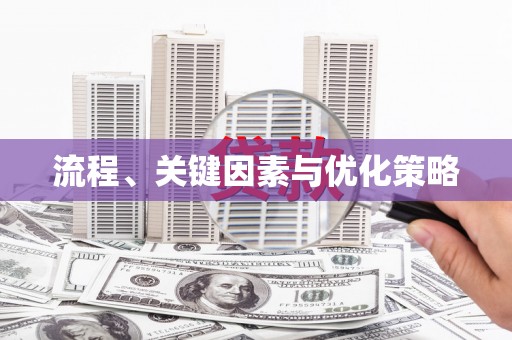芦淞流程、关键因素与优化策略