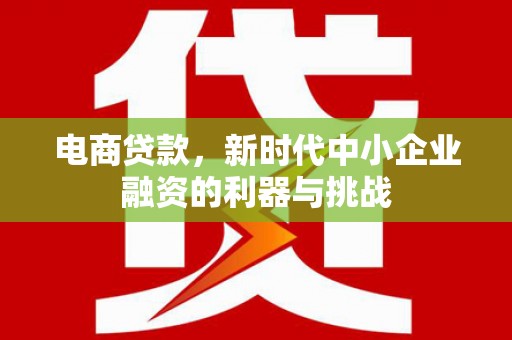 龙沙电商贷款，新时代中小企业融资的利器与挑战