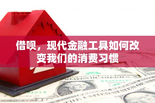 厦门借呗，现代金融工具如何改变我们的消费习惯