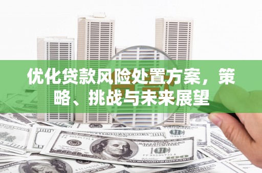 崖州优化贷款风险处置方案，策略、挑战与未来展望