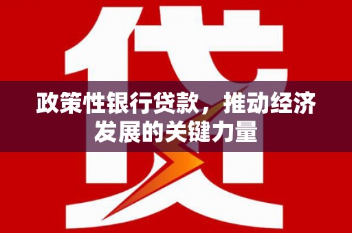 高要政策性银行贷款，推动经济发展的关键力量
