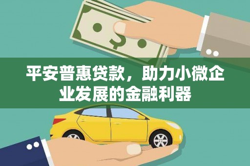 隆尧平安普惠贷款，助力小微企业发展的金融利器