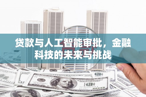 大安贷款与人工智能审批，金融科技的未来与挑战