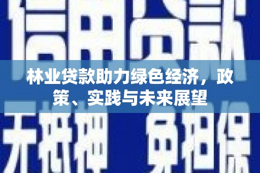 五指山林业贷款助力绿色经济，政策、实践与未来展望