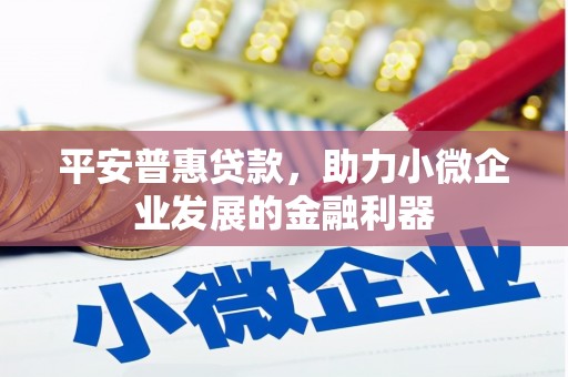 庐江平安普惠贷款，助力小微企业发展的金融利器