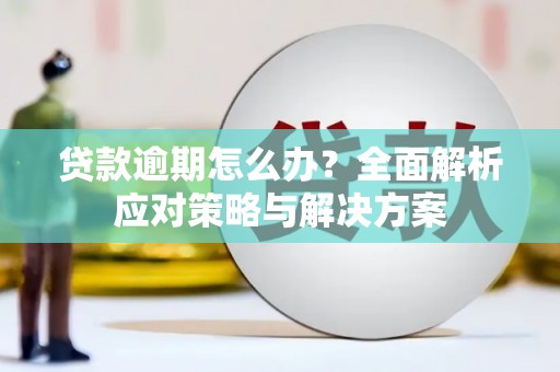 卫东贷款逾期怎么办？全面解析应对策略与解决方案