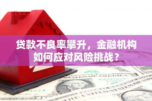 海北贷款不良率攀升，金融机构如何应对风险挑战？