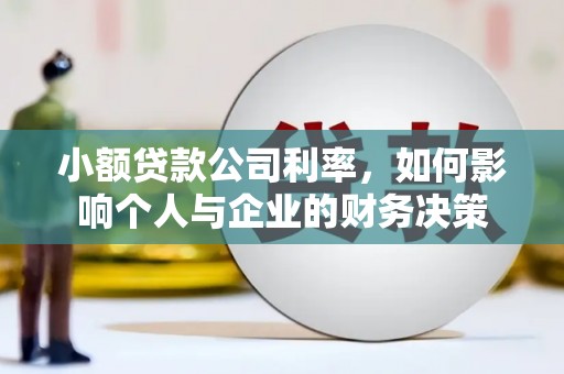 德宏小额贷款公司利率，如何影响个人与企业的财务决策