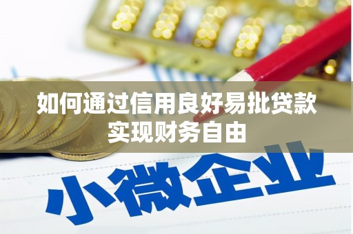 晋宁如何通过信用良好易批贷款实现财务自由