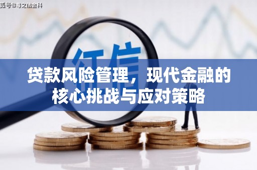 云龙贷款风险管理，现代金融的核心挑战与应对策略