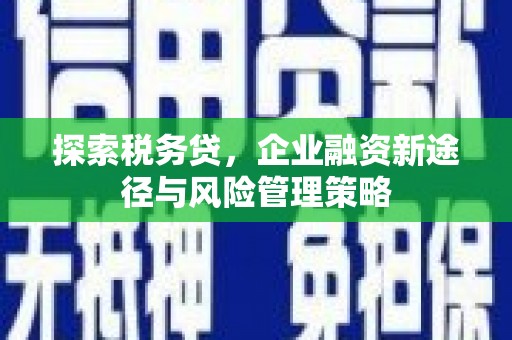 郊区探索税务贷，企业融资新途径与风险管理策略